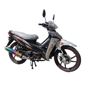 Moto routière Vitesse Automatique Gris SAFARI SF50CEM