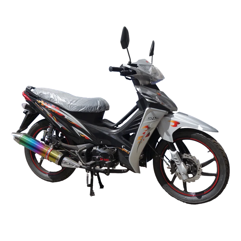 Moto routière Vitesse Automatique Gris SAFARI SF50CEM